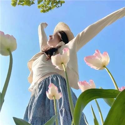 未完成的机械钢琴曲 在线观看